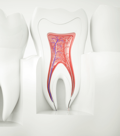 Treatment - Ascot Dental Suite